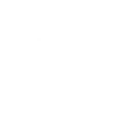 UFC.webp